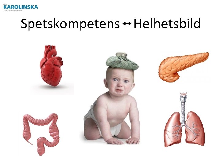 Spetskompetens Helhetsbild 