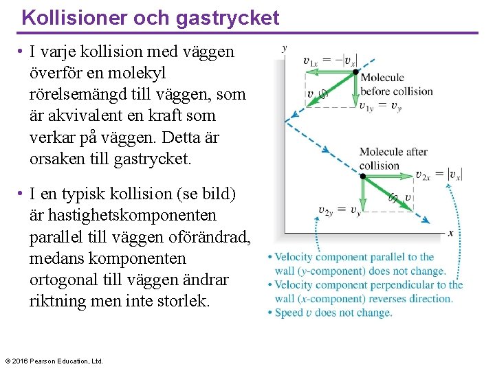 Kollisioner och gastrycket • I varje kollision med väggen överför en molekyl rörelsemängd till