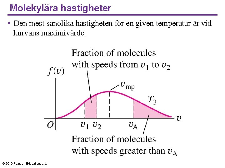 Molekylära hastigheter • Den mest sanolika hastigheten för en given temperatur är vid kurvans