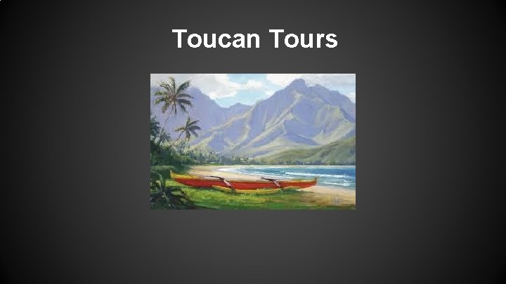Toucan Tours 