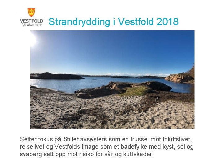 Strandrydding i Vestfold 2018 Setter fokus på Stillehavsøsters som en trussel mot friluftslivet, reiselivet