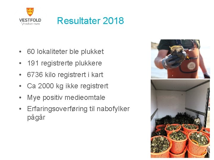 Resultater 2018 • 60 lokaliteter ble plukket • 191 registrerte plukkere • 6736 kilo