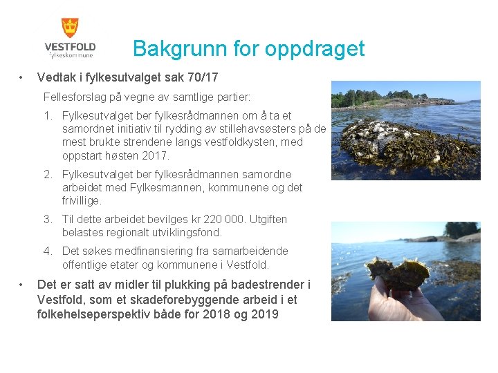 Bakgrunn for oppdraget • Vedtak i fylkesutvalget sak 70/17 Fellesforslag på vegne av samtlige