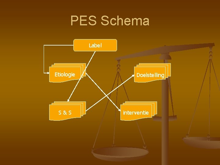 PES Schema Label Etiologie S&S Doelstelling interventie 