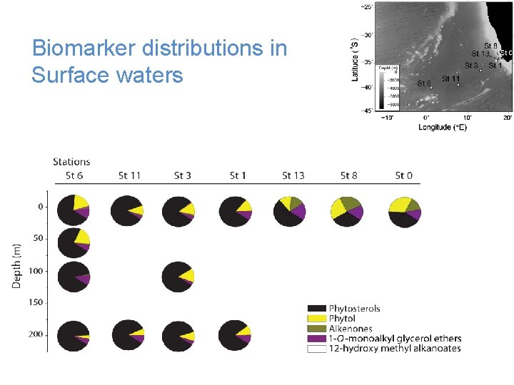 Biomarker distributions in Surface waters 