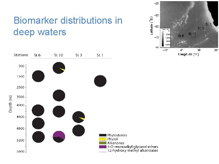 Biomarker distributions in deep waters 