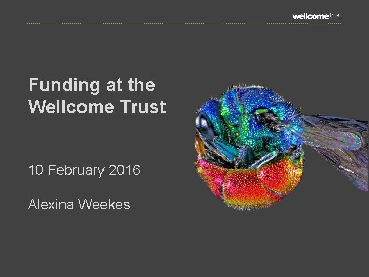 Funding at the Wellcome Trust 10 February 2016 Alexina Weekes 