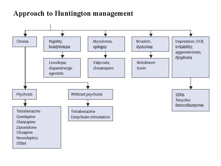 Approach to Huntington management 