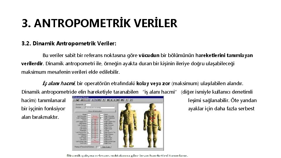 3. ANTROPOMETRİK VERİLER 3. 2. Dinamik Antropometrik Veriler: Bu veriler sabit bir referans noktasına