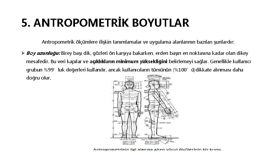 5. ANTROPOMETRİK BOYUTLAR Antropometrik ölçümlere ilişkin tanımlamalar ve uygulama alanlarının bazıları şunlardır: Ø Boy