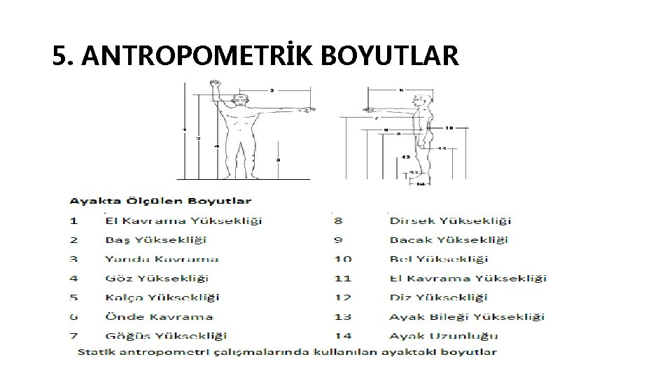 5. ANTROPOMETRİK BOYUTLAR 