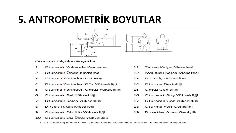 5. ANTROPOMETRİK BOYUTLAR 