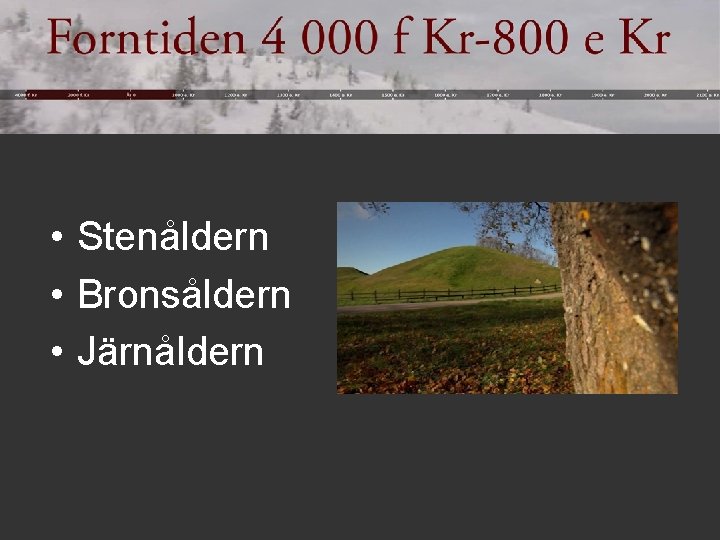  • Stenåldern • Bronsåldern • Järnåldern 