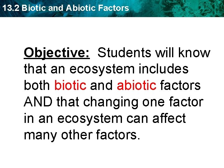 13. 2 Biotic and Abiotic Factors Objective: Students will know that an ecosystem includes