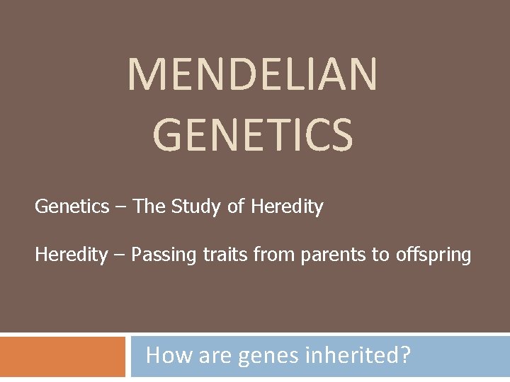 MENDELIAN GENETICS Genetics – The Study of Heredity – Passing traits from parents to