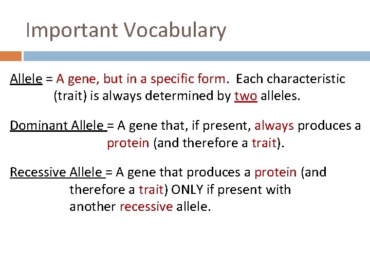 Important Vocabulary Allele = A gene, but in a specific form. Each characteristic (trait)