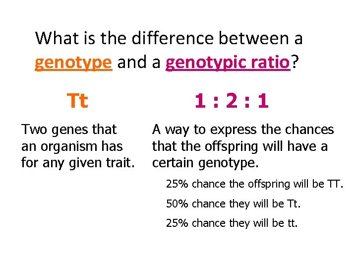 What is the difference between a genotype and a genotypic ratio? Tt Two genes