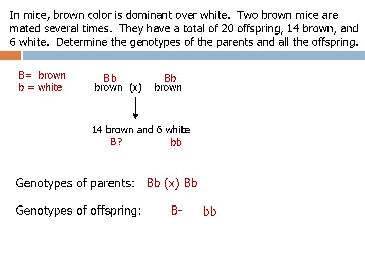 In mice, brown color is dominant over white. Two brown mice are mated several