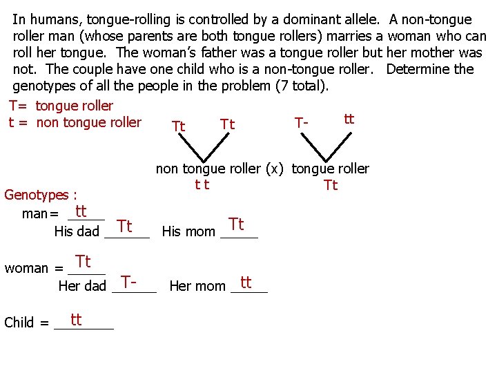 In humans, tongue-rolling is controlled by a dominant allele. A non-tongue roller man (whose