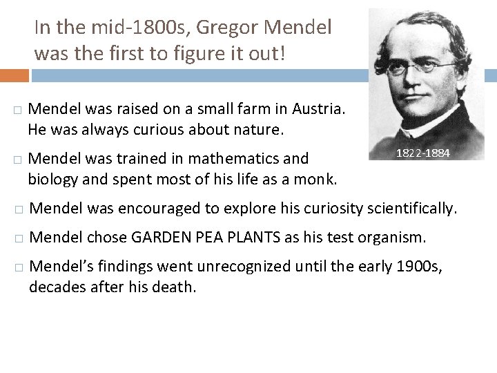 In the mid-1800 s, Gregor Mendel was the first to figure it out! �
