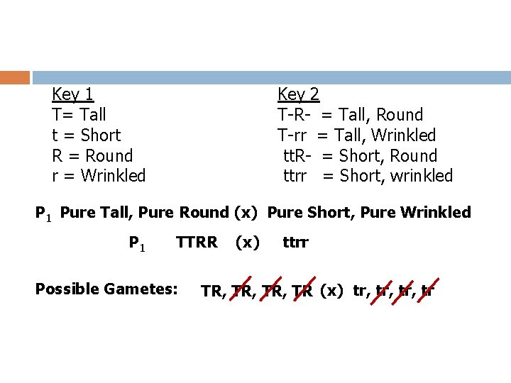 Key 1 T= Tall t = Short R = Round r = Wrinkled Key