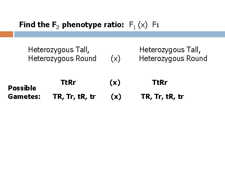Find the F 2 phenotype ratio: F 1 (x) F 1 Heterozygous Tall, Heterozygous