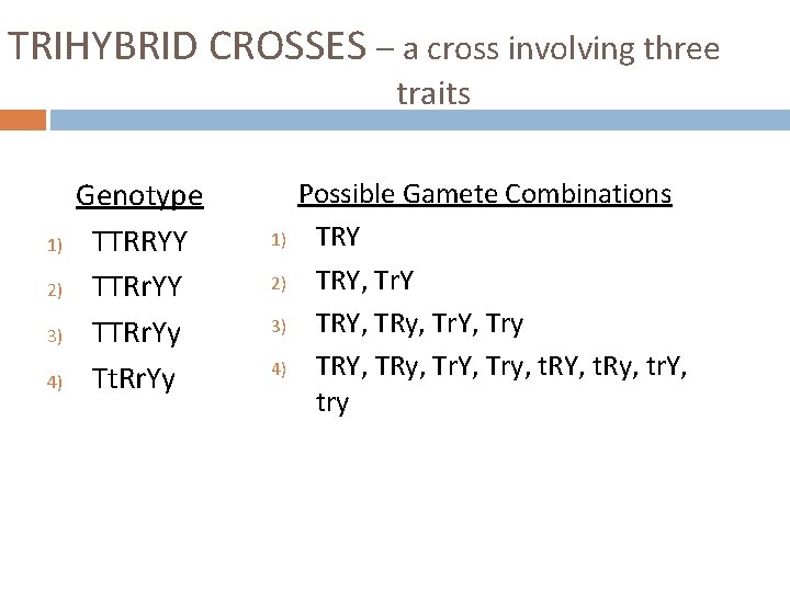 TRIHYBRID CROSSES – a cross involving three traits 1) 2) 3) 4) Genotype TTRRYY