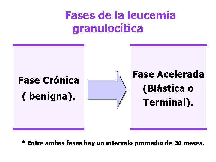 Fases de la leucemia granulocítica Fase Crónica ( benigna). Fase Acelerada (Blástica o Terminal).