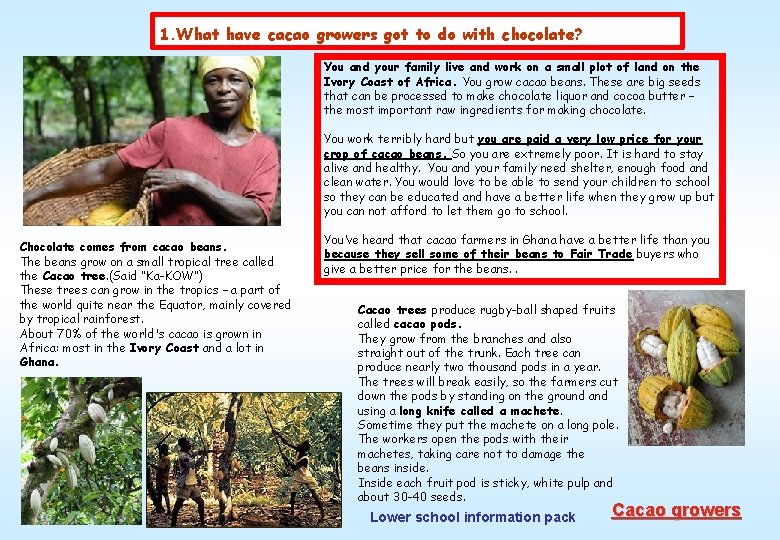 1. What have cacao growers got to do with chocolate? You and your family