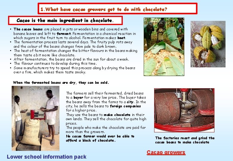 1. What have cacao growers got to do with chocolate? Cacao is the main