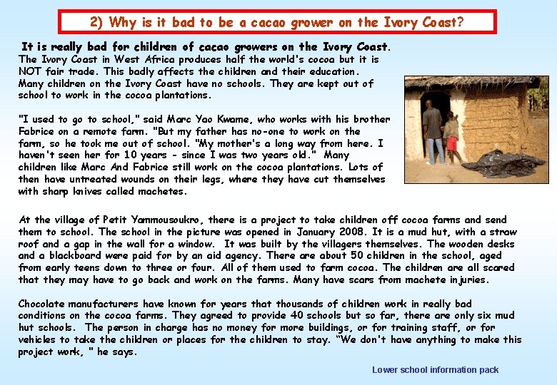 2) Why is it bad to be a cacao grower on the Ivory Coast?
