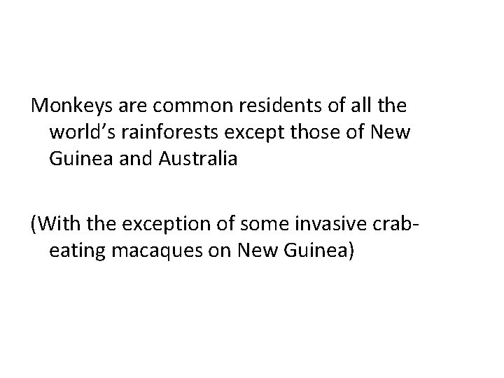 Monkeys are common residents of all the world’s rainforests except those of New Guinea