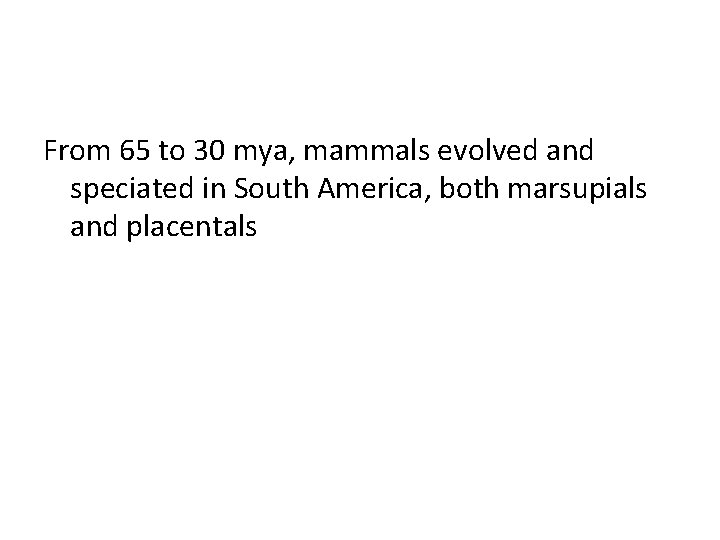 From 65 to 30 mya, mammals evolved and speciated in South America, both marsupials