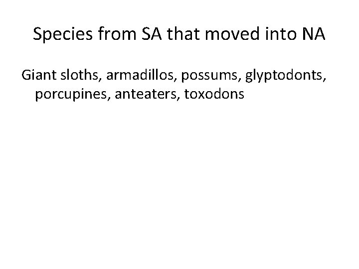 Species from SA that moved into NA Giant sloths, armadillos, possums, glyptodonts, porcupines, anteaters,