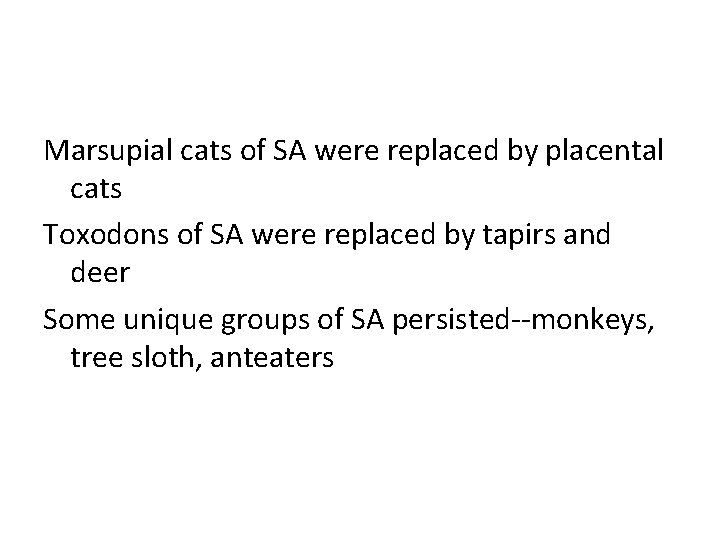 Marsupial cats of SA were replaced by placental cats Toxodons of SA were replaced