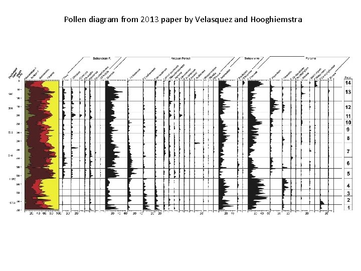 Pollen diagram from 2013 paper by Velasquez and Hooghiemstra 