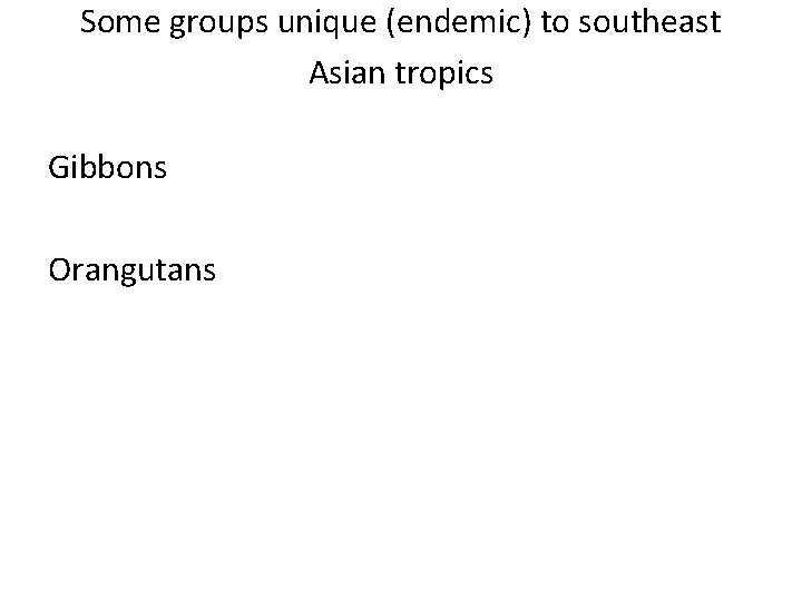 Some groups unique (endemic) to southeast Asian tropics Gibbons Orangutans 