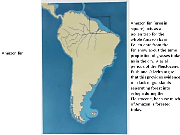 Amazon fan (area in square) acts as a pollen trap for the whole Amazon