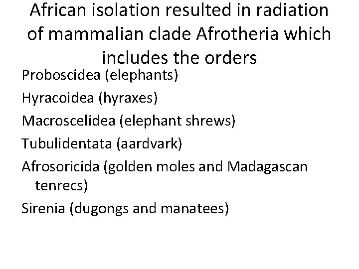 African isolation resulted in radiation of mammalian clade Afrotheria which includes the orders Proboscidea