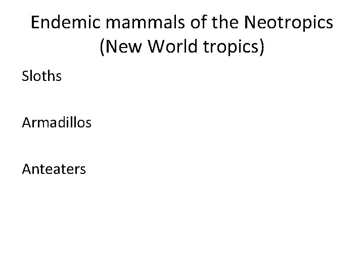 Endemic mammals of the Neotropics (New World tropics) Sloths Armadillos Anteaters 