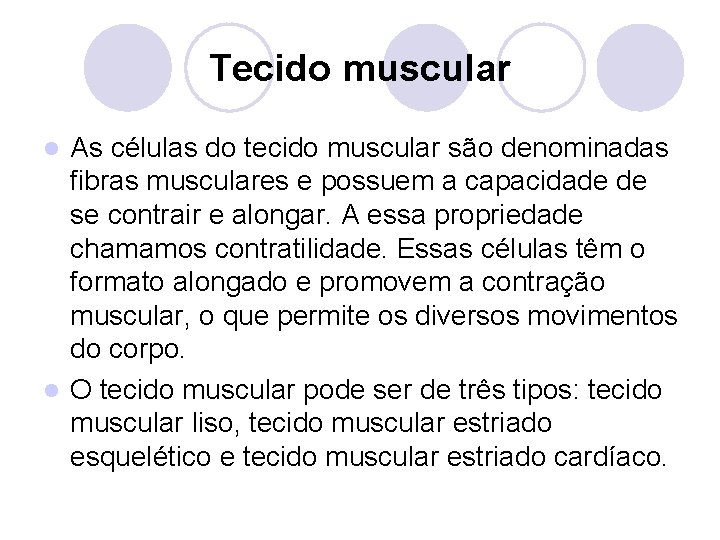 Tecido muscular As células do tecido muscular são denominadas fibras musculares e possuem a