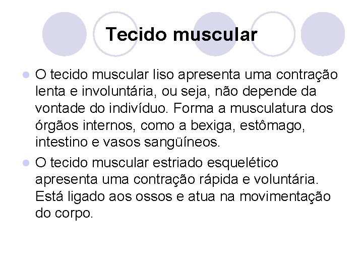 Tecido muscular O tecido muscular liso apresenta uma contração lenta e involuntária, ou seja,