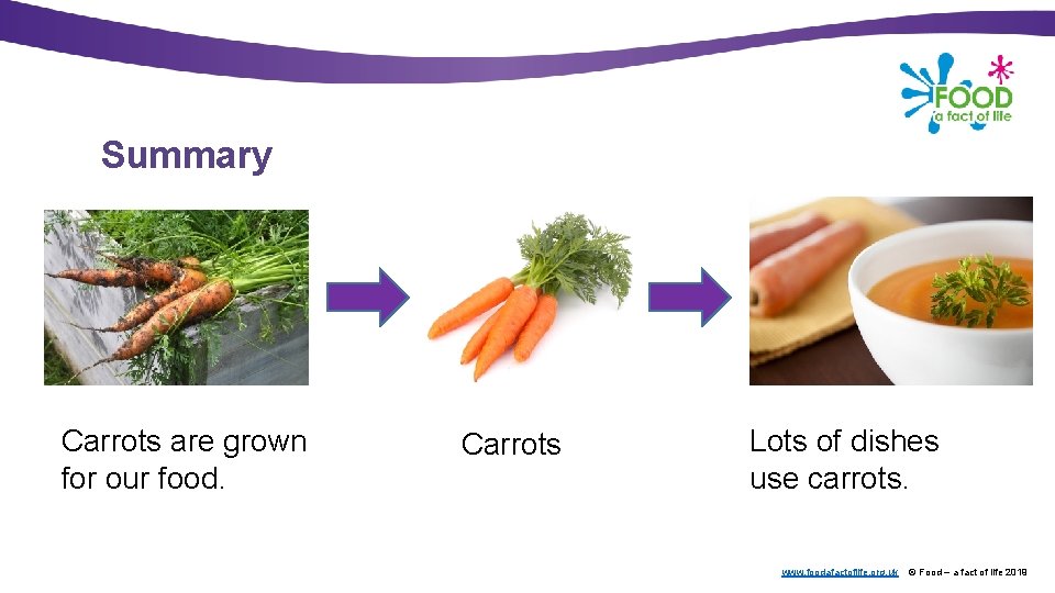 Summary Carrots are grown for our food. Carrots Lots of dishes use carrots. www.