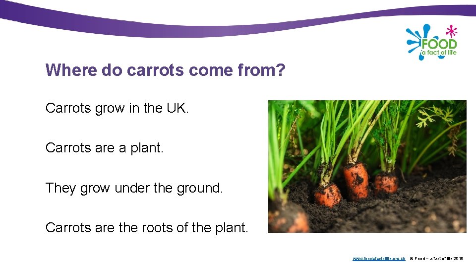 Where do carrots come from? Carrots grow in the UK. Carrots are a plant.
