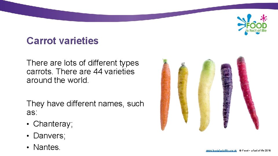 Carrot varieties There are lots of different types carrots. There are 44 varieties around