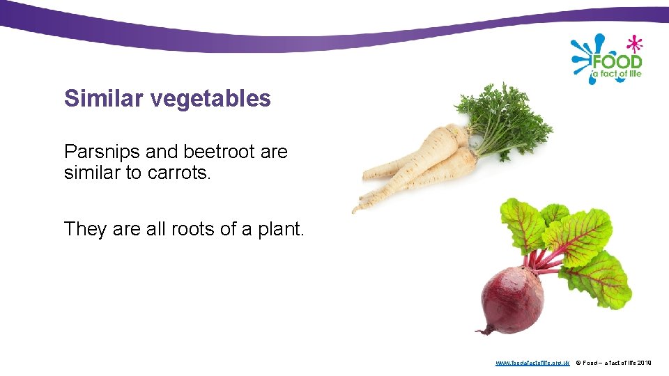 Similar vegetables Parsnips and beetroot are similar to carrots. They are all roots of