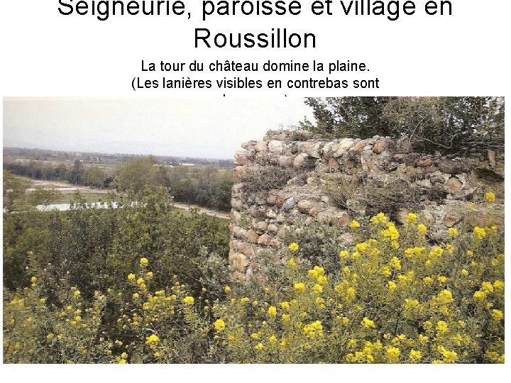 Seigneurie, paroisse et village en Roussillon La tour du château domine la plaine. (Les