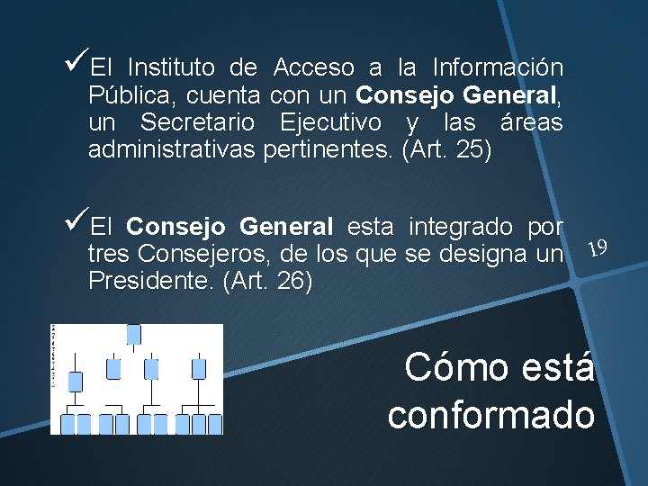 üEl Instituto de Acceso a la Información Pública, cuenta con un Consejo General, un