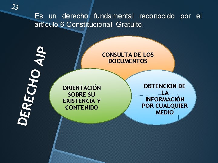 23 DER E CHO AIP Es un derecho fundamental reconocido por el artículo 6