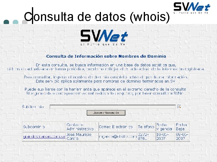 Consulta de datos (whois) © RIbarra 2009 